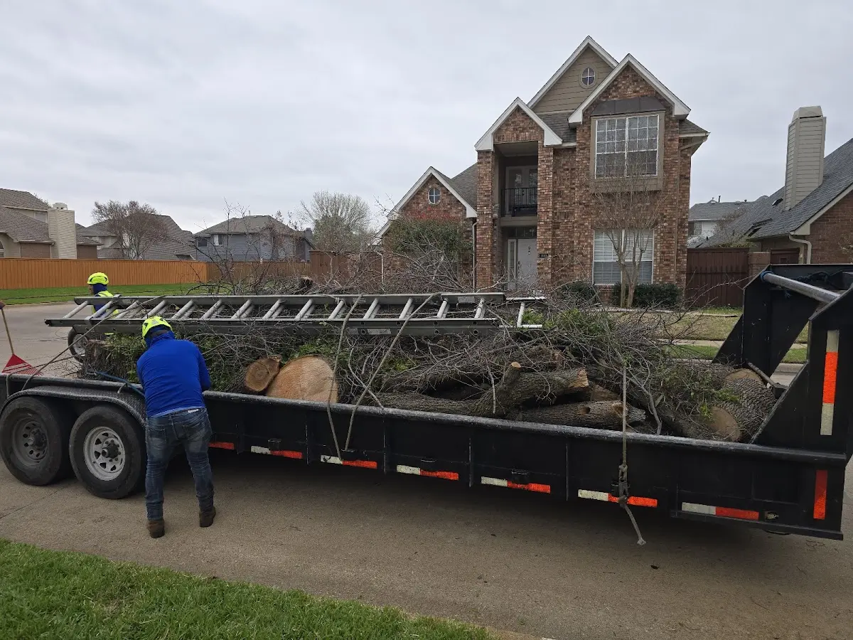 Expert Crown Reduction with proper safety equipment in Glenmont